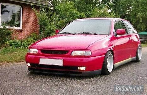 Seat Ibiza billede 1