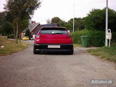 Seat Ibiza billede 6
