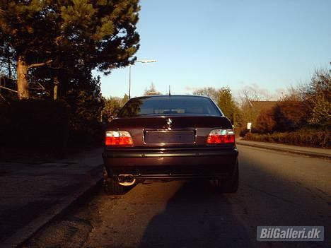 BMW M3 billede 6