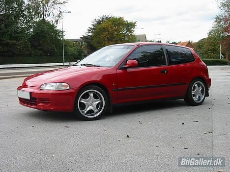 Honda Civic billede 1