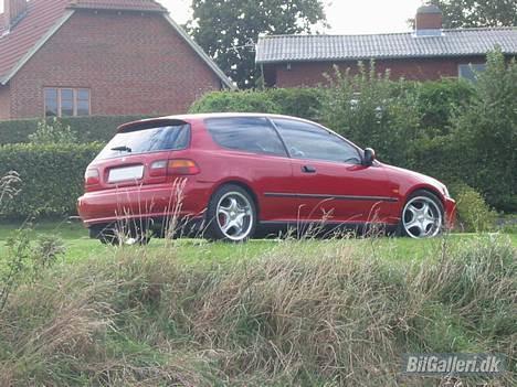 Honda Civic billede 5