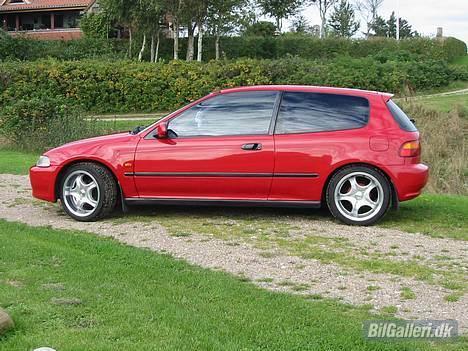 Honda Civic billede 4