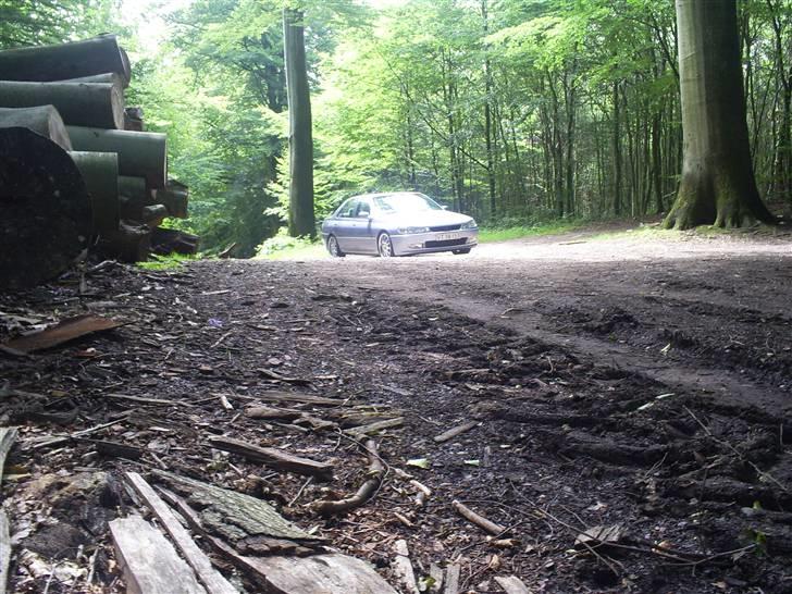 Peugeot 406 Sv Turbo  billede 16