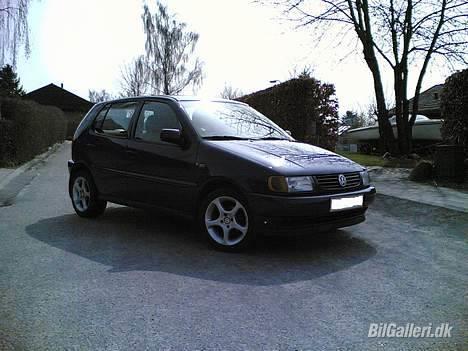 VW Polo 6N billede 2