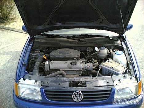 VW Polo 6N billede 7