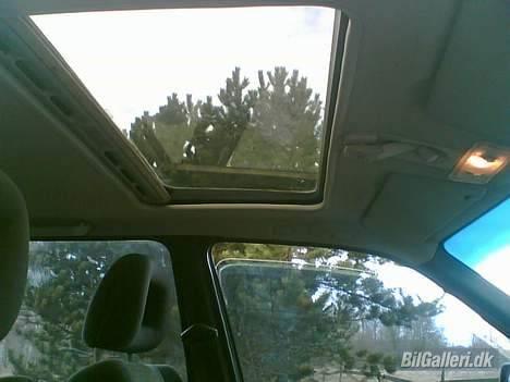 Opel GSI 2.0 16V *DØD* - Soltag er virkelig en god ting :) billede 5