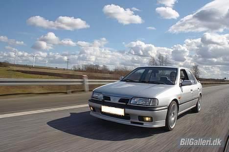 Nissan Primera *Solgt* - Foto: Daniel Nielsen – Frozenpanda.com billede 3