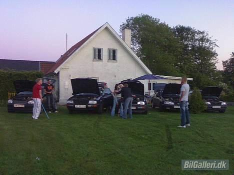 Audi 80 2,8 V6 - En herlig sommer fest, hvor bilerne holder i parade billede 5