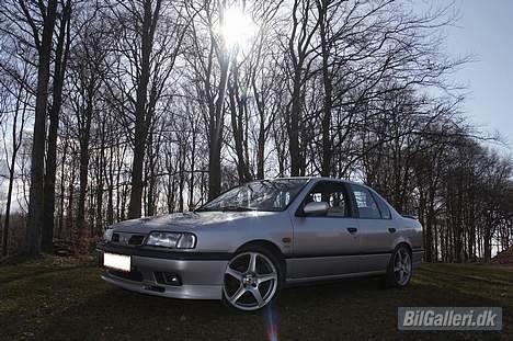 Nissan Primera *Solgt* - Foto: Daniel Nielsen – Frozenpanda.com billede 7