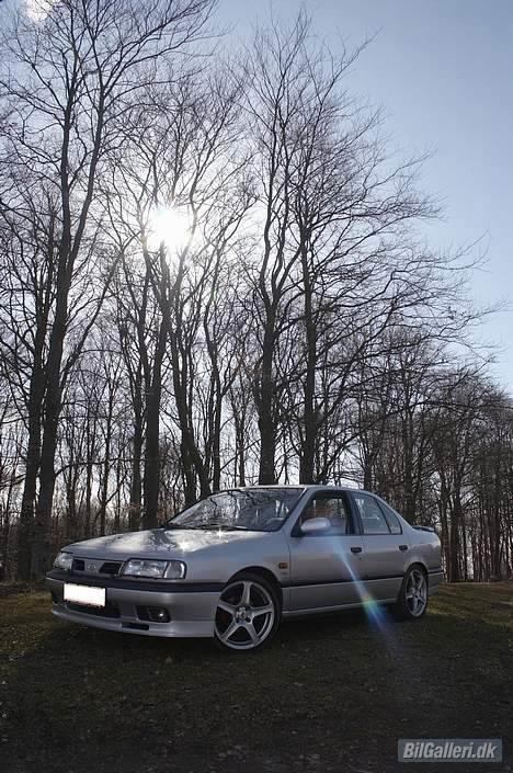 Nissan Primera *Solgt* - Foto: Daniel Nielsen – Frozenpanda.com billede 8