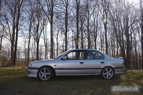 Nissan Primera *Solgt* - Foto: Daniel Nielsen – Frozenpanda.com billede 9