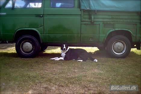 VW Syncro "Grünehild" SOLGT - Frihøjde som en liggende stor hund billede 4
