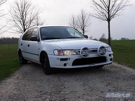 Toyota Corolla 1,3 XLi *DØD* :O( - Hella Rallye 3000 billede 14