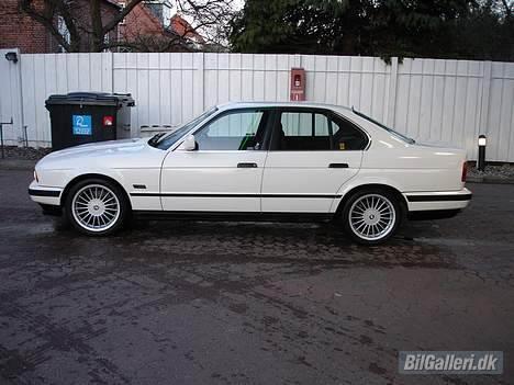 BMW 518i billede 11