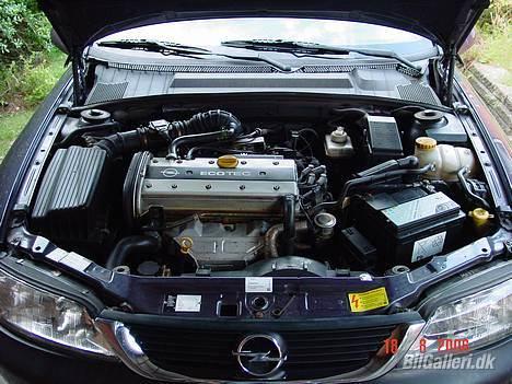 Opel Vectra B billede 4