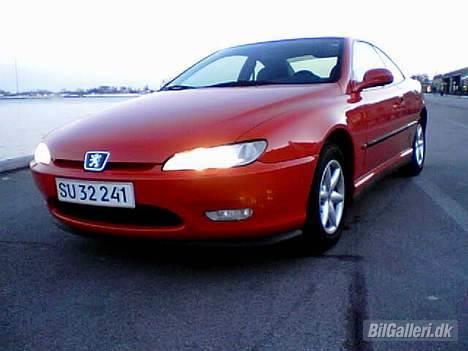 Peugeot 406 Coupe - Her er den ikke sænket endnu og den står på vinterdækkene billede 6