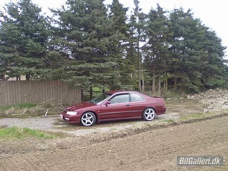 Honda Accord  Coupe SOLGT billede 1