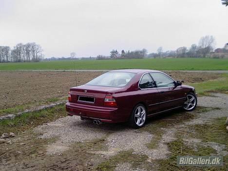 Honda Accord  Coupe SOLGT billede 2