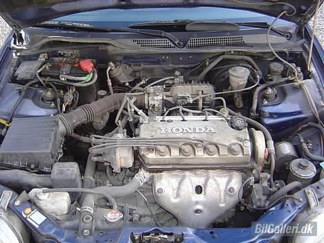 Honda civic - Før billede 6