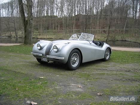 Jaguar XK120 Concour billede 2