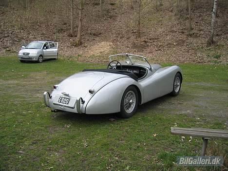 Jaguar XK120 Concour billede 3