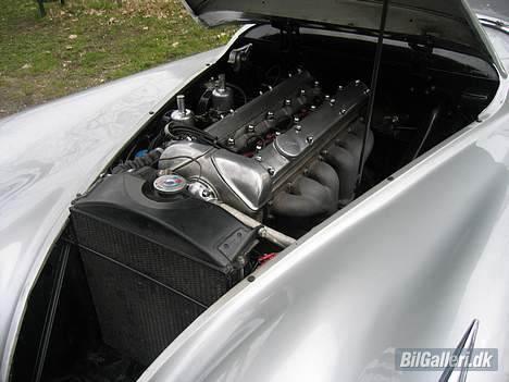 Jaguar XK120 Concour billede 7