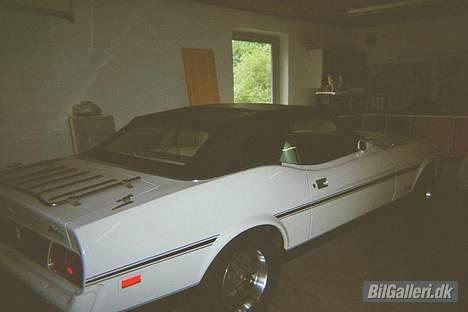 Amerikaner Mustang convertible billede 1