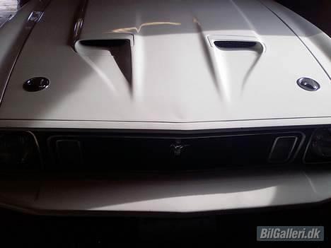 Amerikaner Mustang convertible billede 2