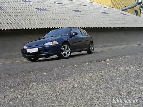 Honda Civic SOLGT! - Nyt ! 29/04-2006 billede 11