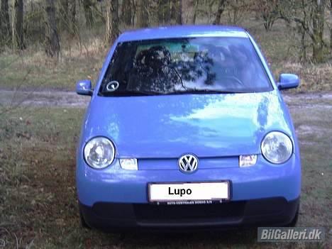 VW Lupo 1,2 TDI 3L SOLGT - Bilen forfra billede 1