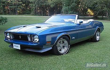 Amerikaner Mustang convertible billede 4