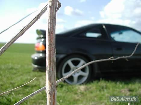 Nissan 100nx - HUNTERBOYS billede 12