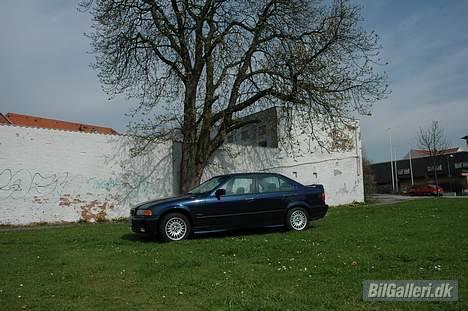 BMW 318i billede 4