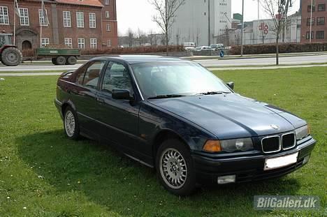 BMW 318i billede 6