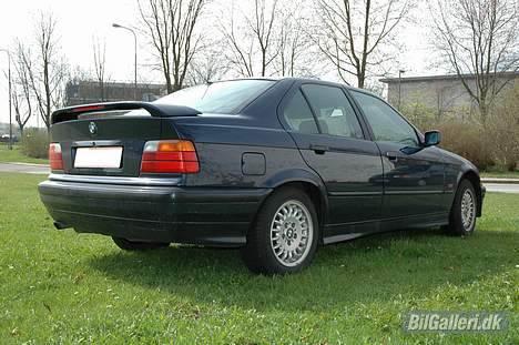 BMW 318i billede 7