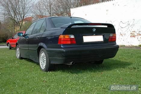 BMW 318i billede 8