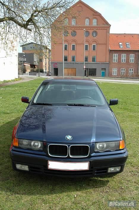 BMW 318i billede 12