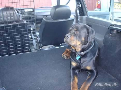 VW golf2 Solgt billede 9