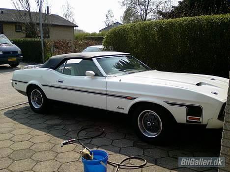 Amerikaner Mustang convertible billede 7