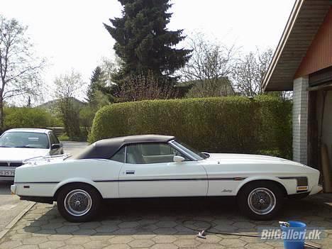 Amerikaner Mustang convertible billede 9