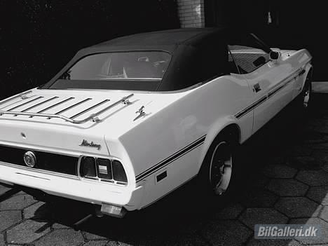 Amerikaner Mustang convertible billede 10