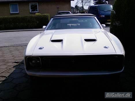 Amerikaner Mustang convertible billede 11