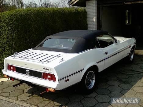 Amerikaner Mustang convertible billede 12