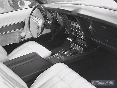 Amerikaner Mustang convertible billede 13