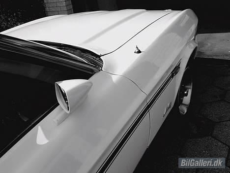 Amerikaner Mustang convertible billede 14