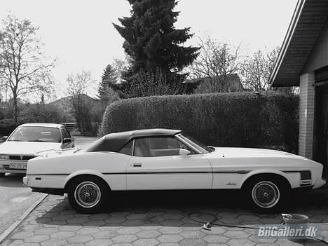 Amerikaner Mustang convertible billede 15