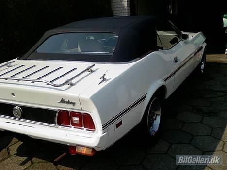 Amerikaner Mustang convertible billede 16