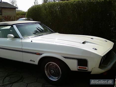 Amerikaner Mustang convertible billede 17