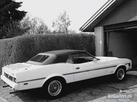Amerikaner Mustang convertible billede 18