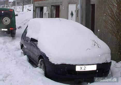 Peugeot 306 ST SOLGT - et andet vinterbillede med Kermit i baggrunden billede 8